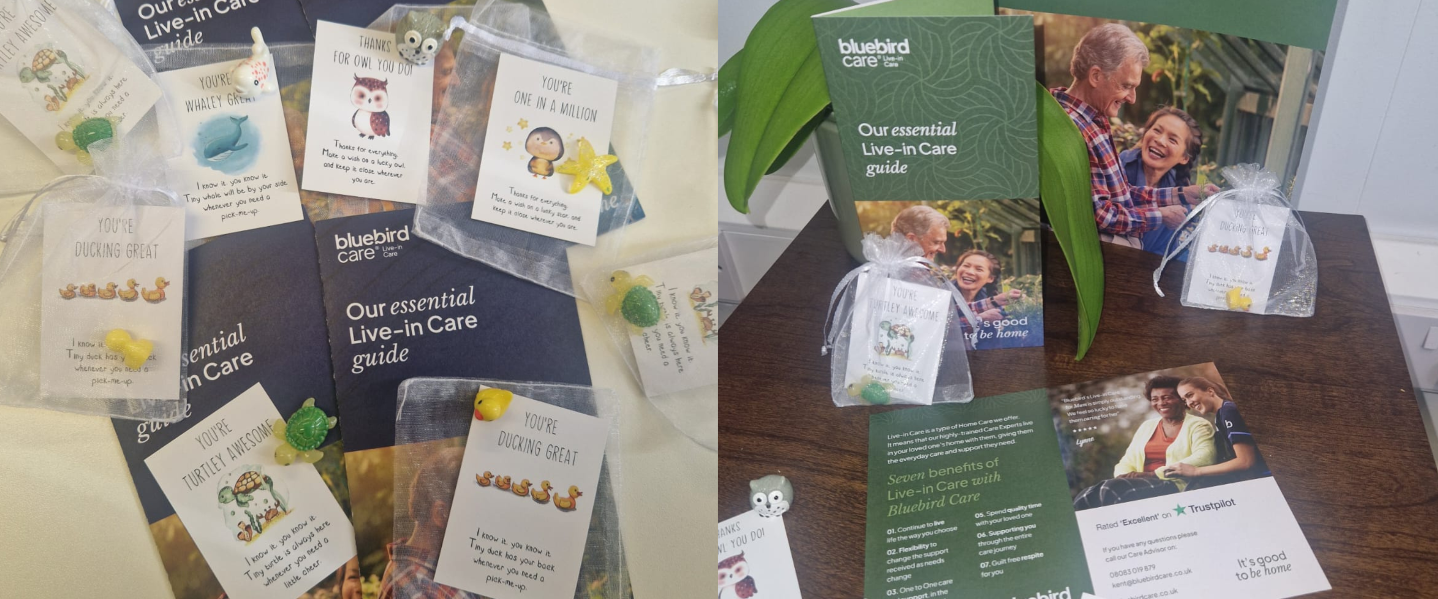 Showing Our Appreciation: Gifts for Our Live-in Care Team