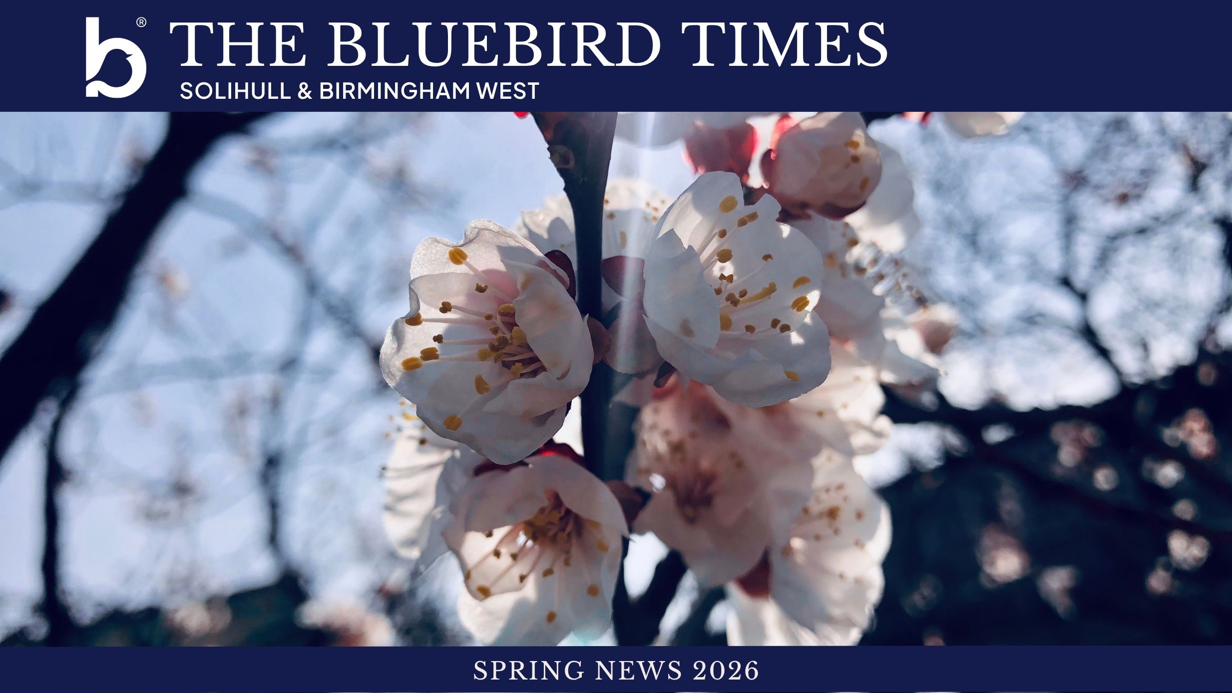 March 2026 Spring News 