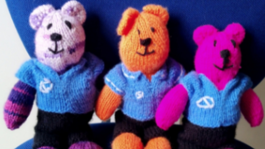 A New Lockdown Talent - Bluebird Care Bears! A New Lockdown Talent - Bluebird Care Bears!