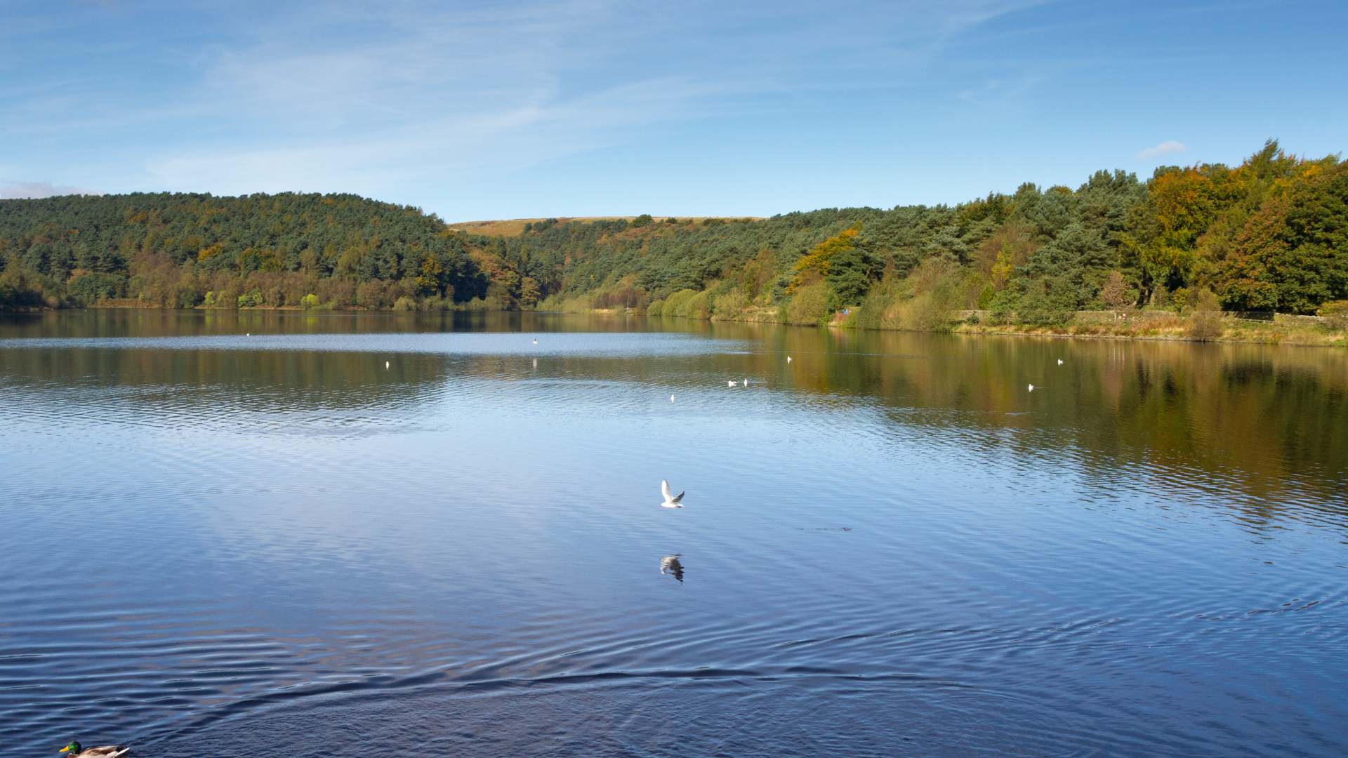 Calderdale 2 Ogden Water - accessible and beautiful