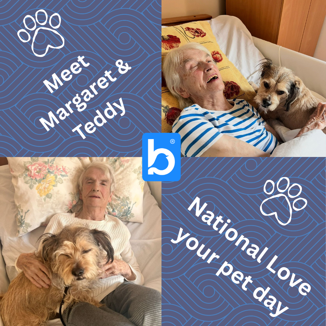 National Pet day WHF