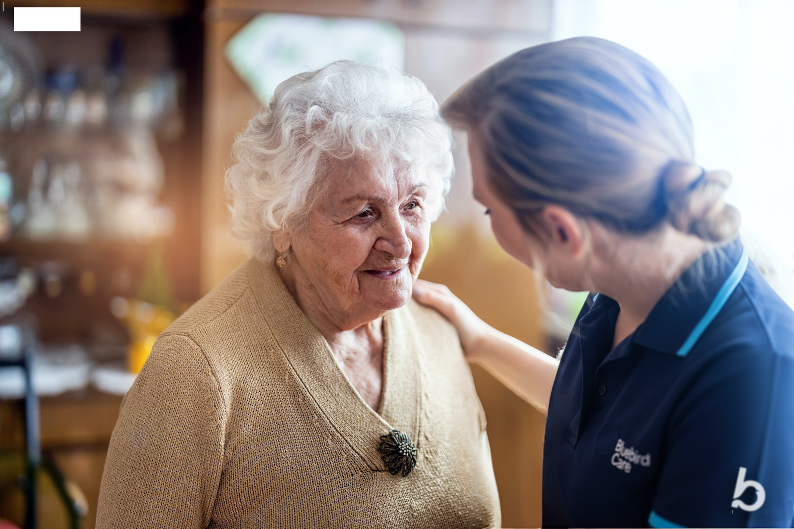 Bluebird Care Isle of Wight Carer Hand on shoulder