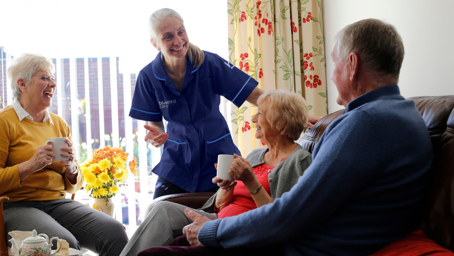 donna rich text donna rich text