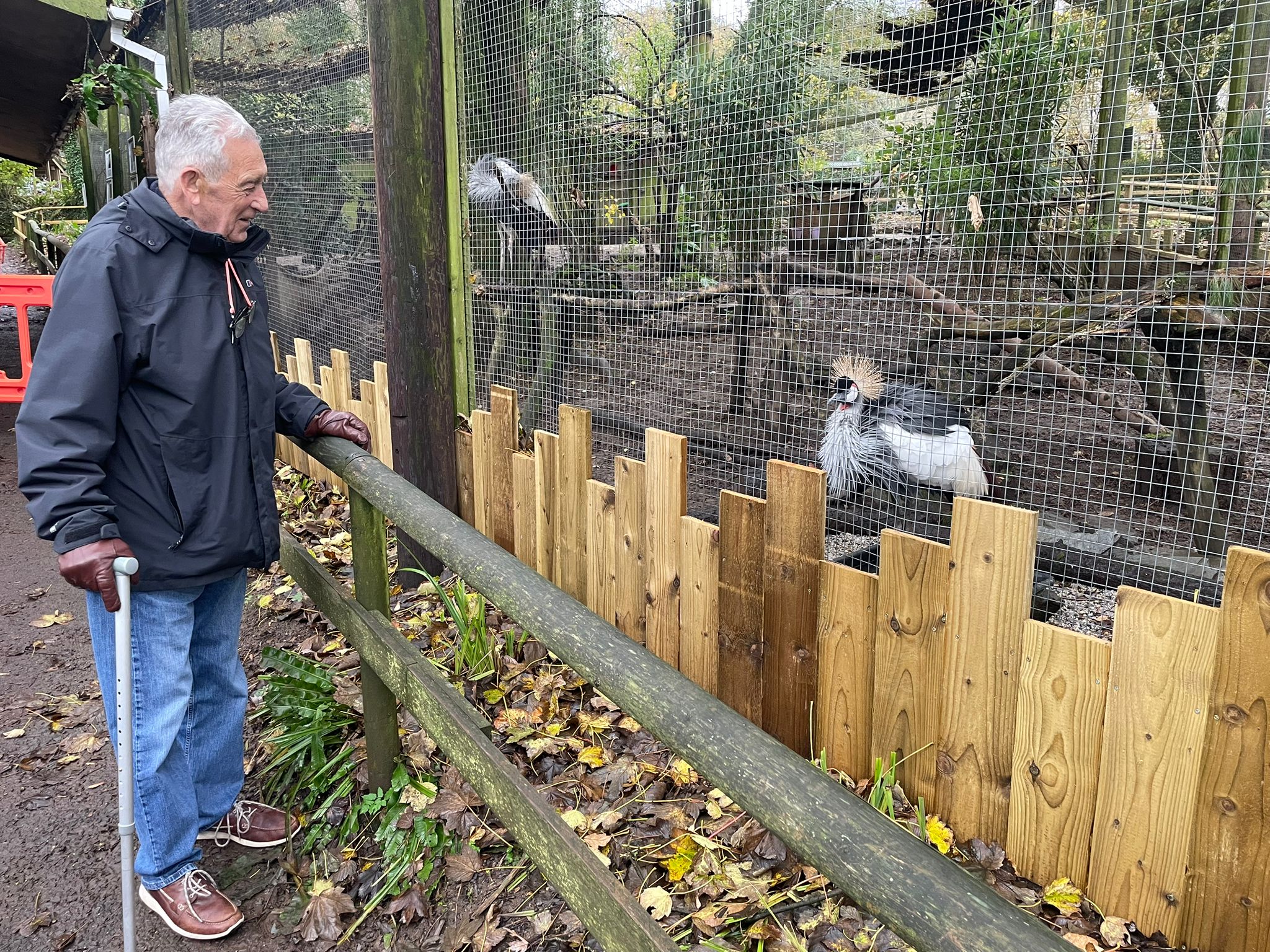 A Day at the Zoo 1