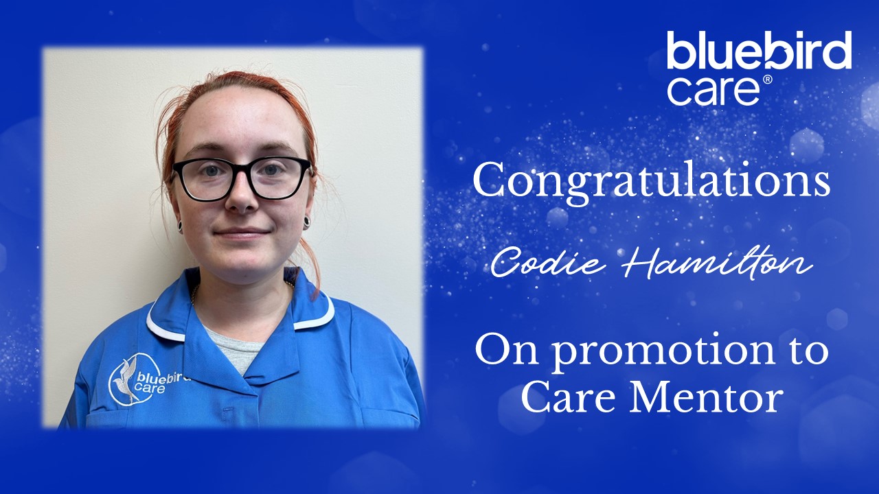 Care Mentor Promotion - Codie Hamilton