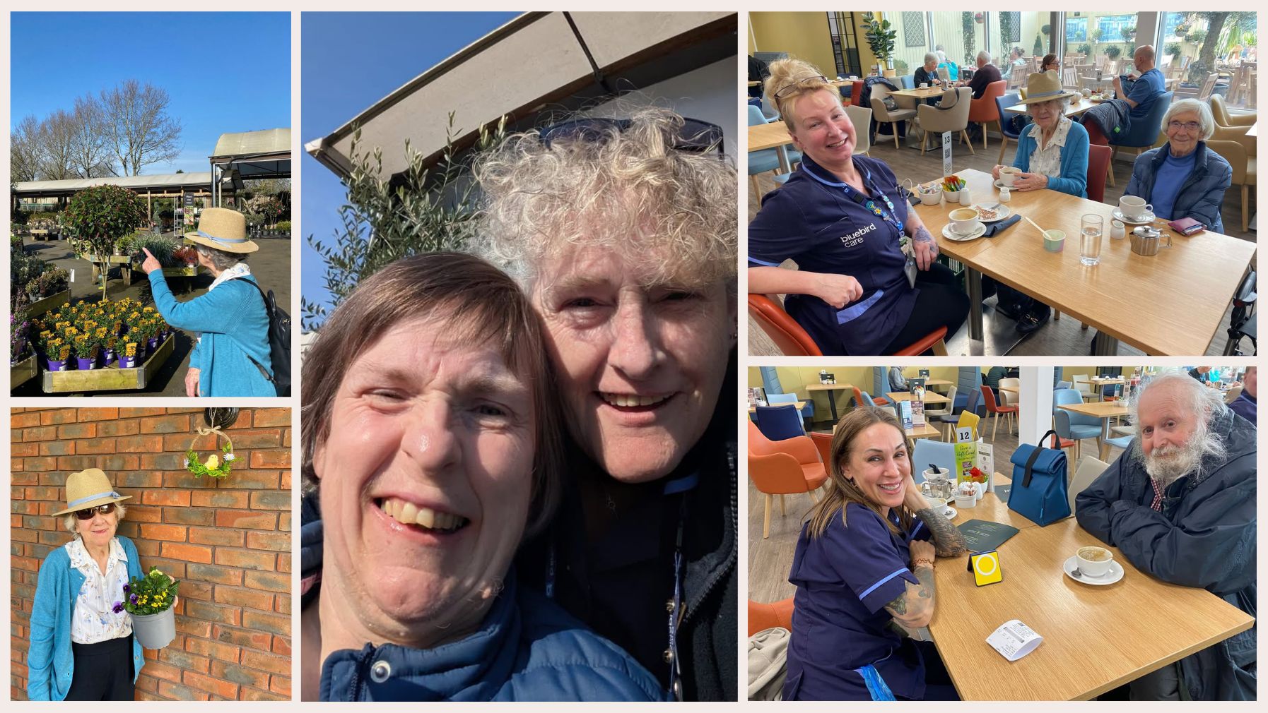 Garden Centre and Lime Tree restaurant