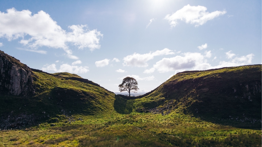 northumberland