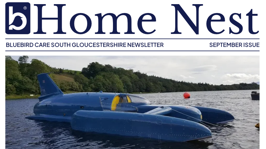 Web_ Newsletter South Glos  Rich Text Images - 897x505