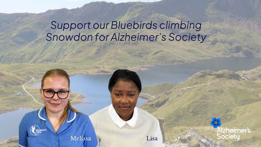 Snowdon fundraiser NEWS