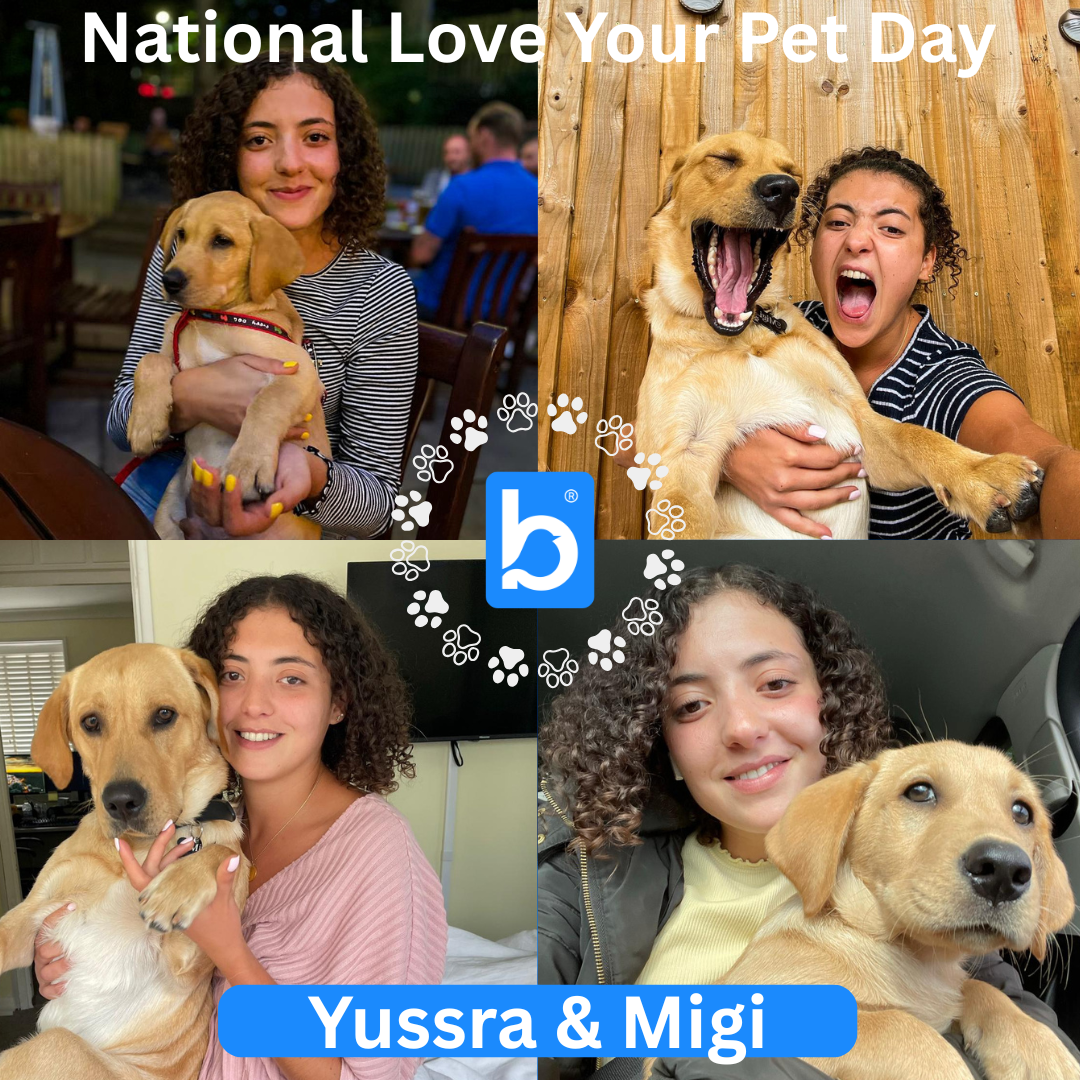 National Pet Day GRE