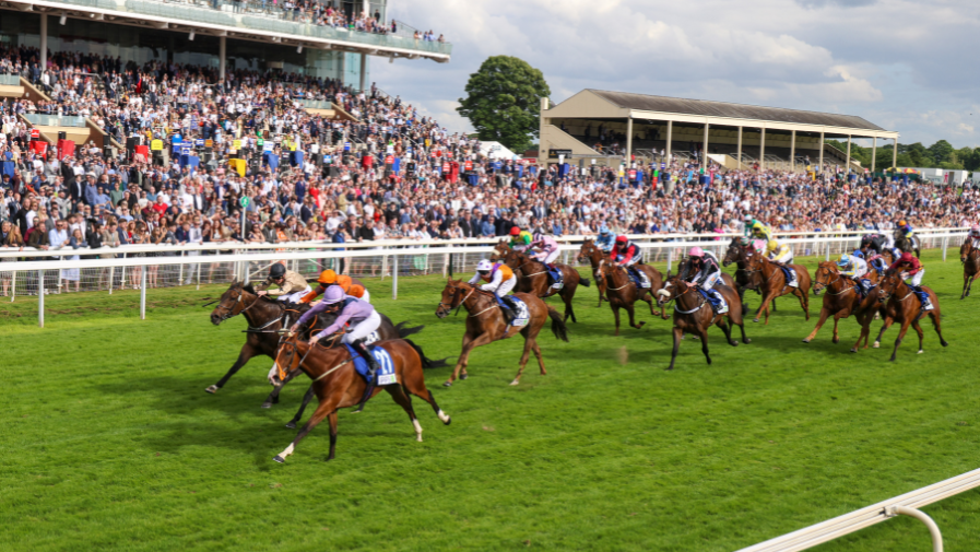 York news dimension York news dimension