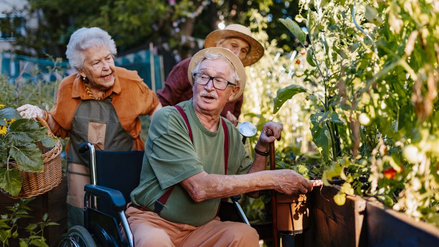 Health & Wellbeing Blog image 2