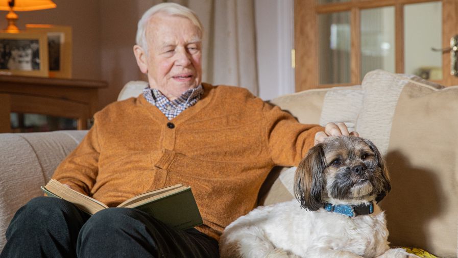 Pet Rich Text Image Pet Rich Text Image