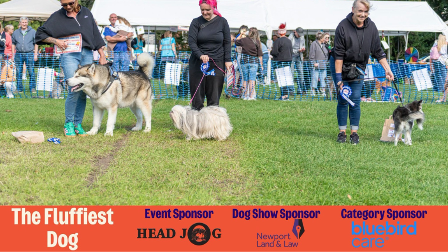 RSPCA Dog Show