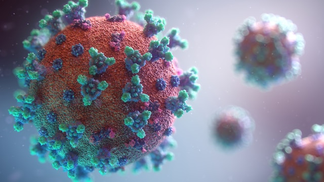 Virus Virus