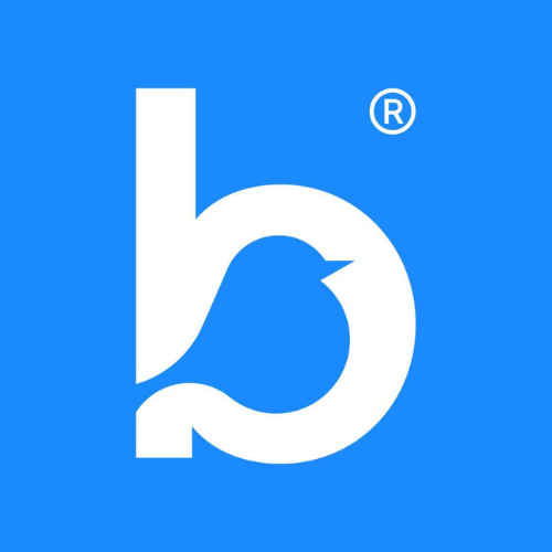 Bluebird Care _B&D Logo