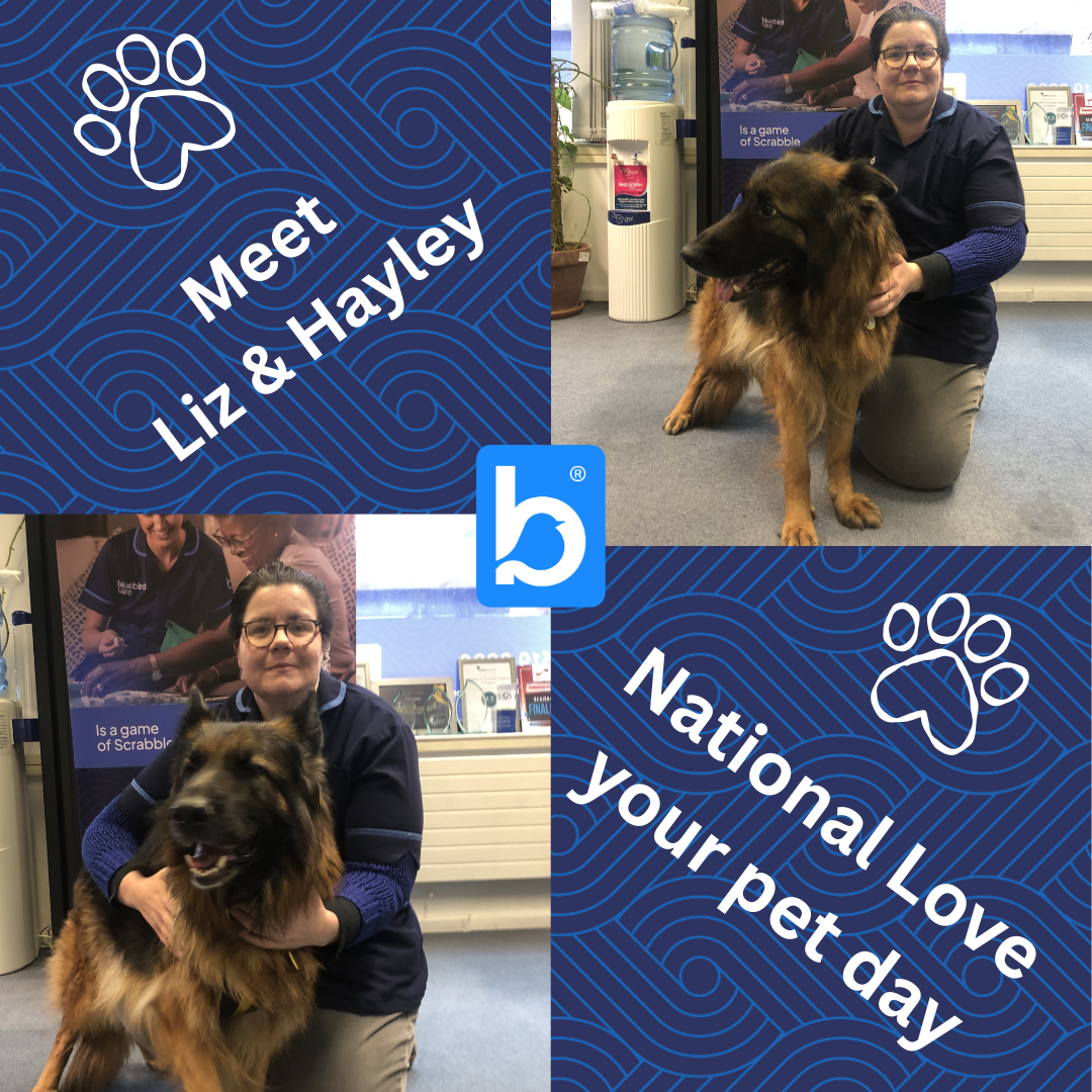 National Pet Day DSW