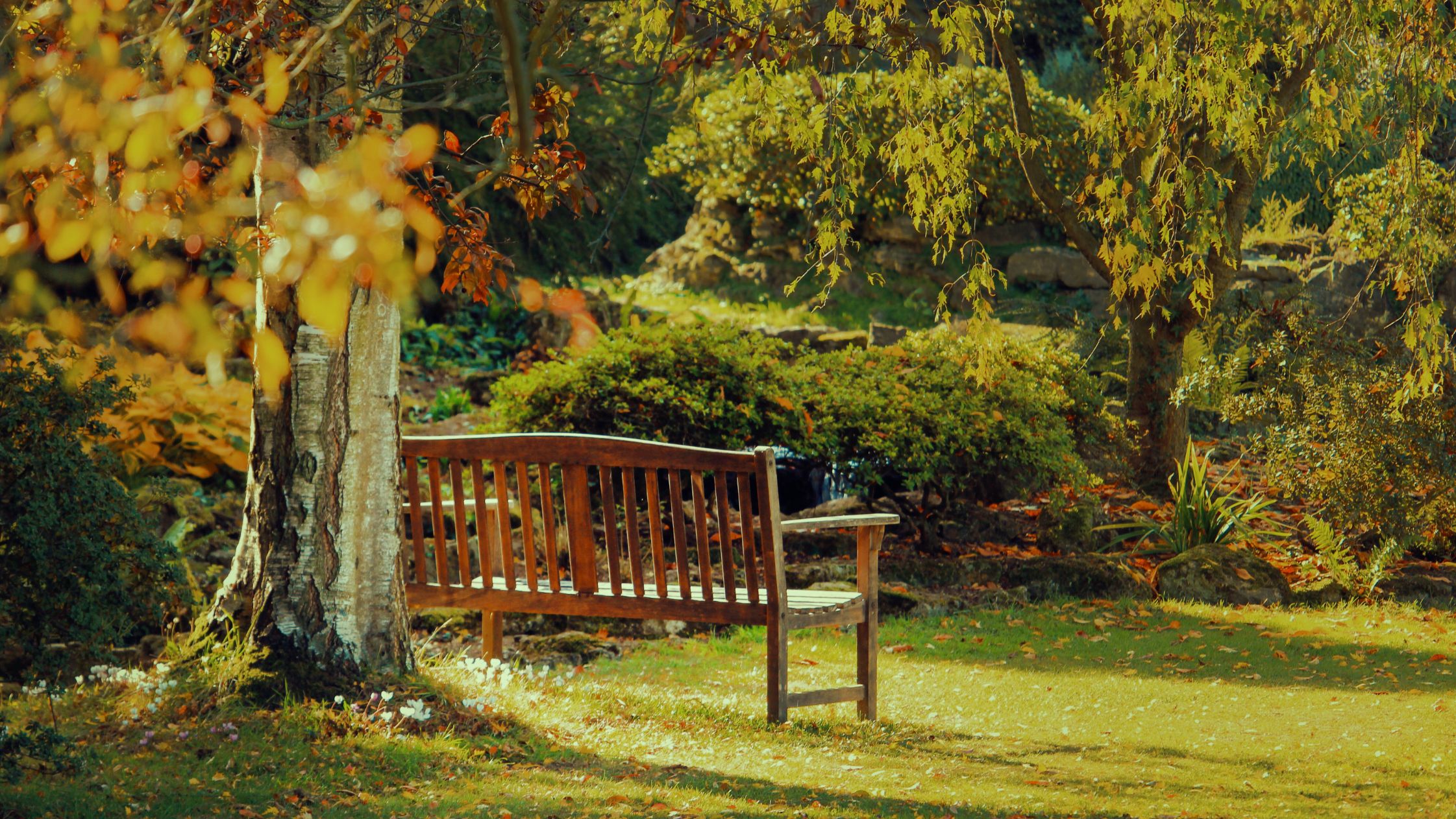 West Dulwich Park - Areas we cover