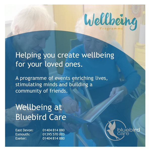 Bluebird home care exmouth wellbeing elderly
