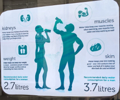 Nutrition & Hydration facts