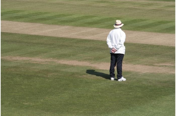 A cricket umpire viewed from behind