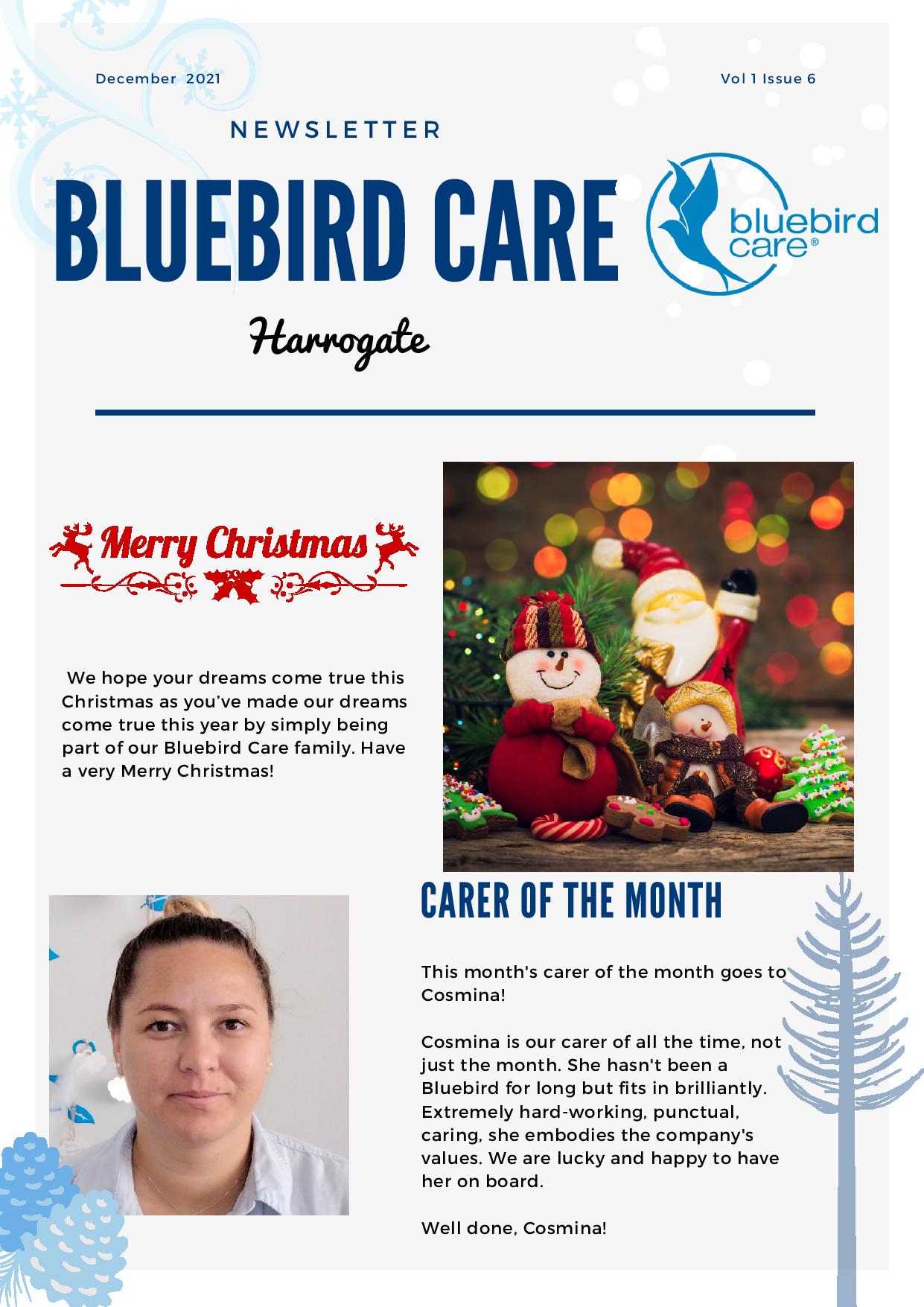 Christmas with Bluebird Care Harrogate | home care  in Harrogate | Live in Care in Harrogate