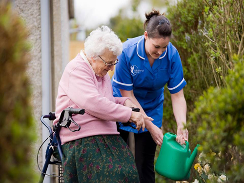 A Bluebird Care Live-in care assistant helping water a customers' plants